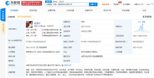 軟件開發(fā)及技術(shù)轉(zhuǎn)讓 創(chuàng)新與價(jià)值的雙輪驅(qū)動(dòng)
